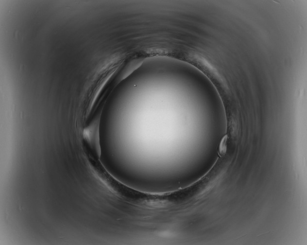 X0000088130637200705211116