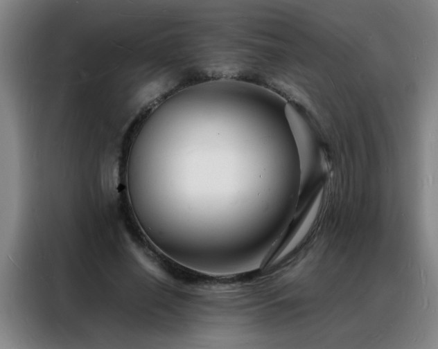 X0000088130638200705211116