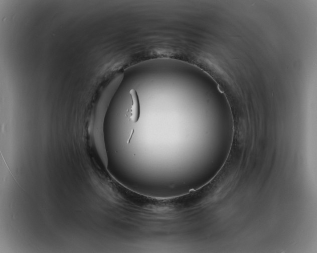 X0000088130639200705211116