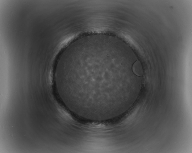 X0000088130640200705211116