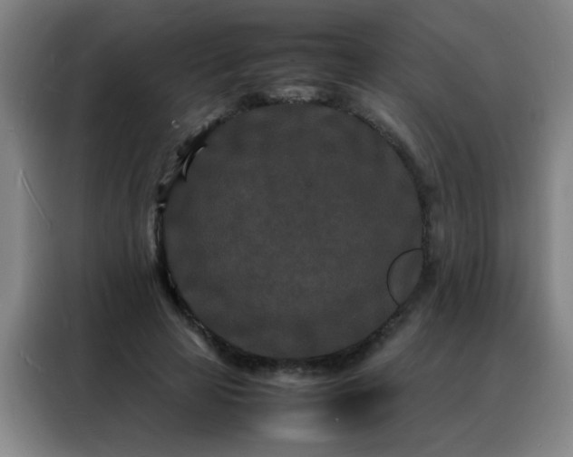 X0000088130641200705211116