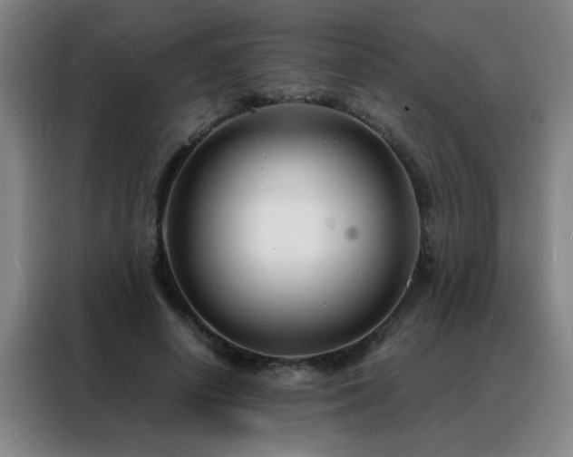 X0000088130642200705211116