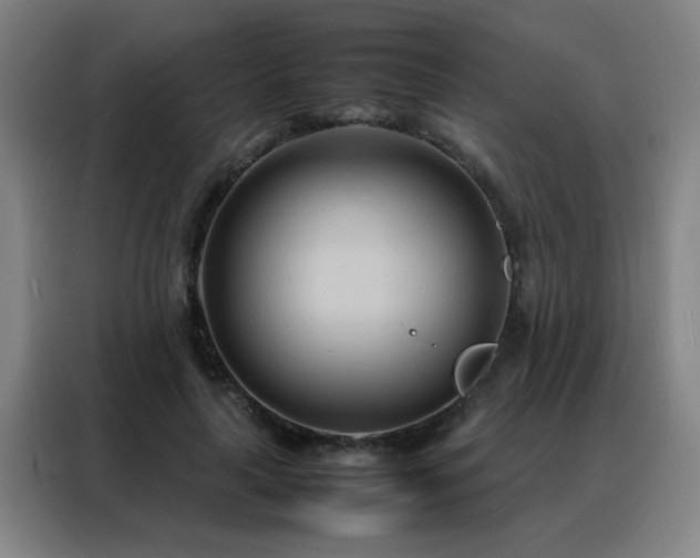 X0000088130643200705211116