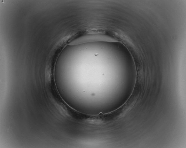 X0000088130644200705211116