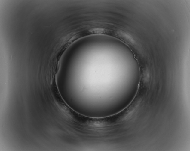 X0000088130645200705211116