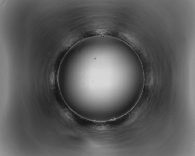 X0000088130646200705211116