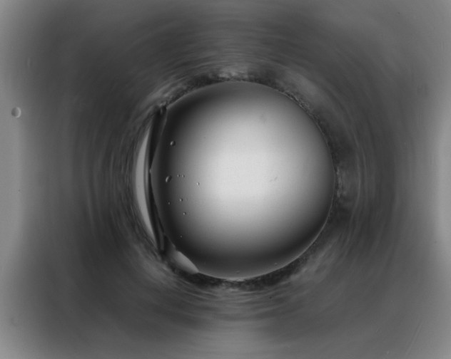 X0000088130648200705211116