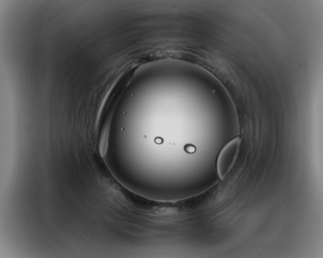 X0000088130649200705211116