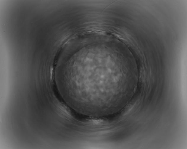 X0000088130650200705211116