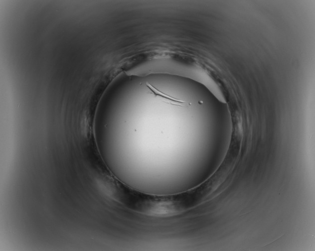 X0000088130651200705211116