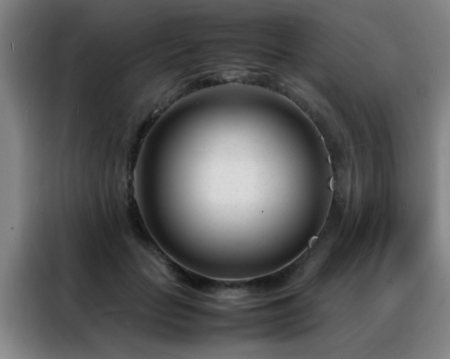 X0000088130653200705211116