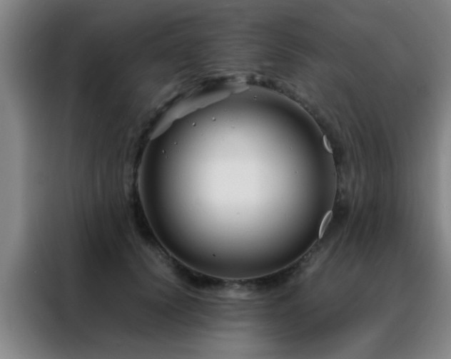 X0000088130656200705211117