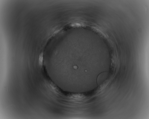 X0000088130659200705211117