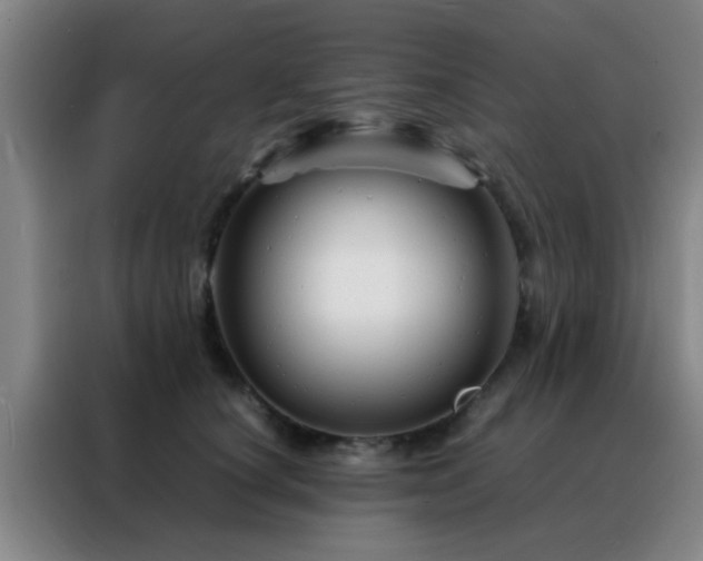 X0000088130660200705211117