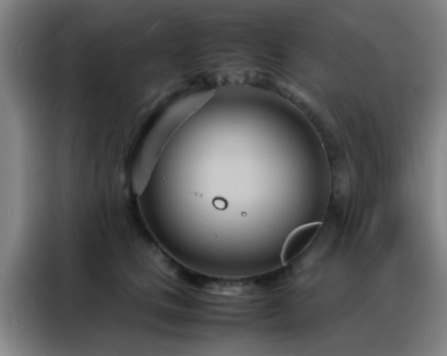 X0000088130661200705211117