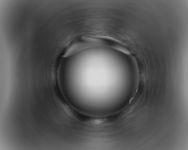 X0000088130662200705211117