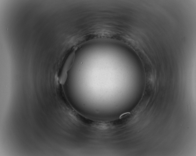 X0000088130663200705211117