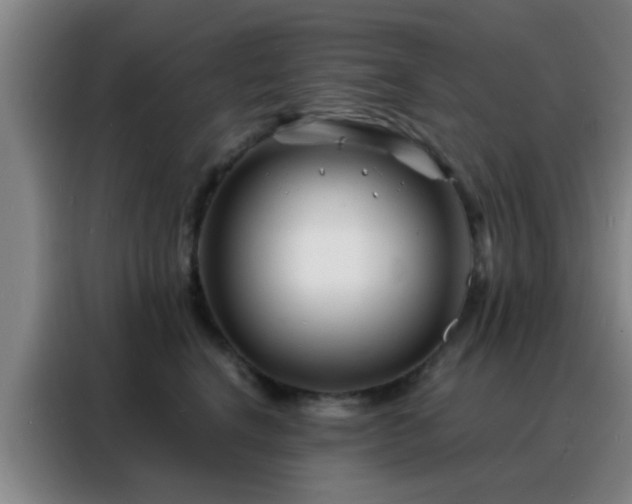 X0000088130664200705211117