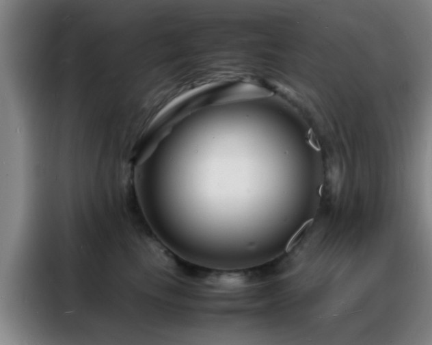 X0000088130665200705211117