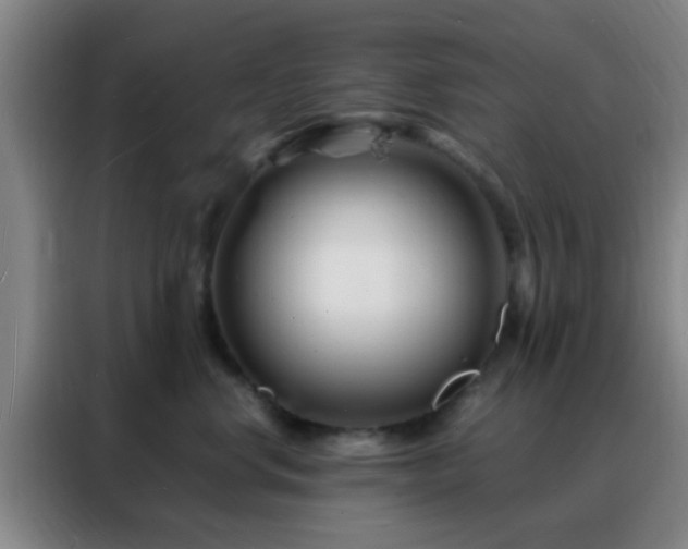 X0000088130668200705211117