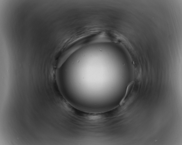 X0000088130669200705211117