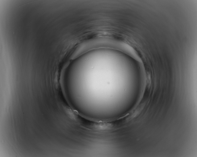 X0000088130670200705211117