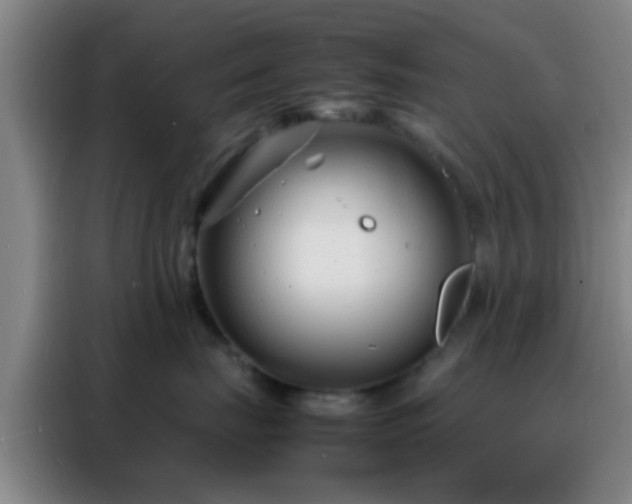 X0000088130671200705211117