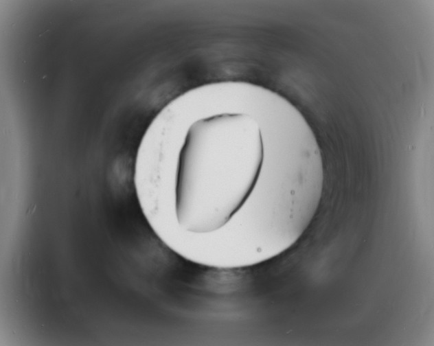 X0000088130672200705211117