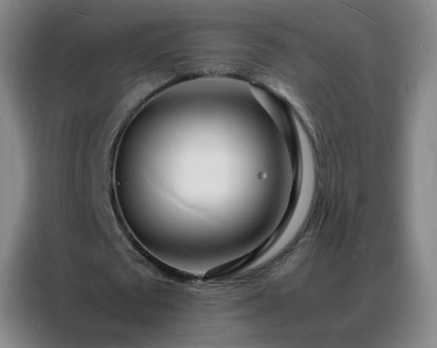 X0000088130673200705211116