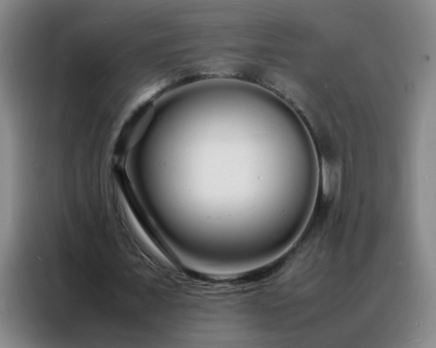 X0000088130675200705211116