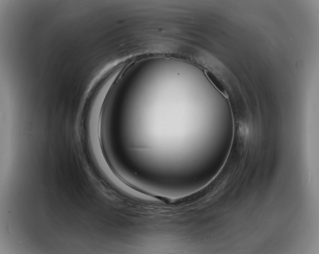 X0000088130676200705211116