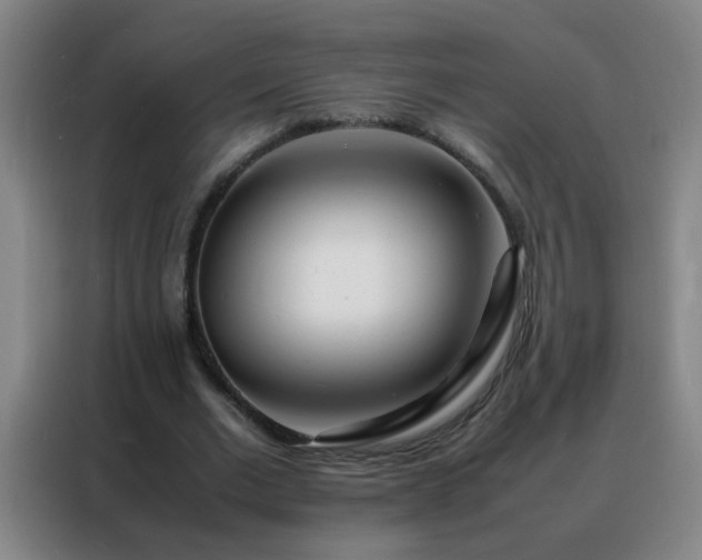 X0000088130677200705211116