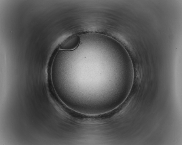 X0000088130678200705211116