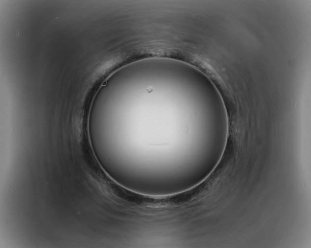 X0000088130679200705211116