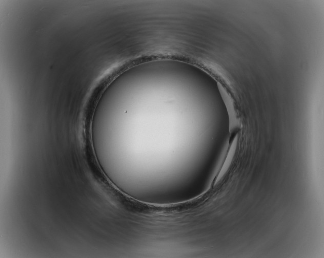 X0000088130680200705211116