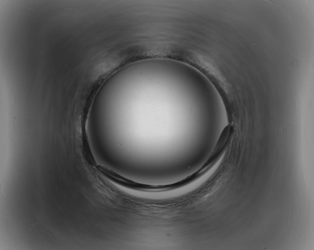 X0000088130681200705211116