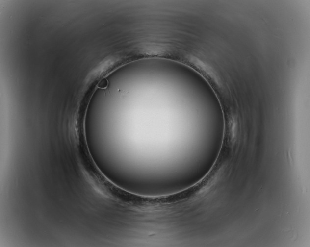 X0000088130682200705211116