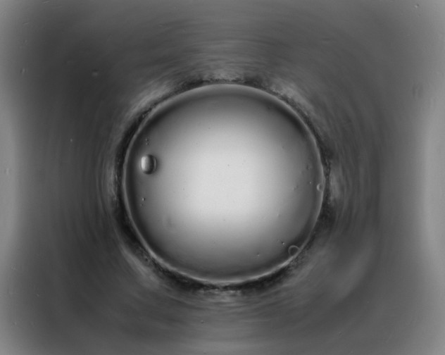 X0000088130683200705211116