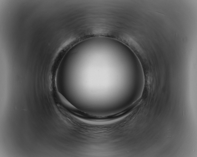 X0000088130684200705211116