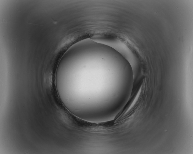 X0000088130685200705211116