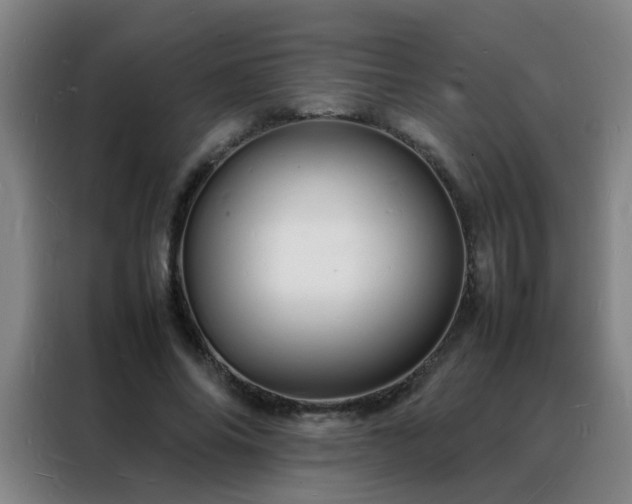 X0000088130686200705211116