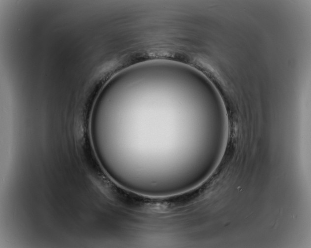 X0000088130687200705211116