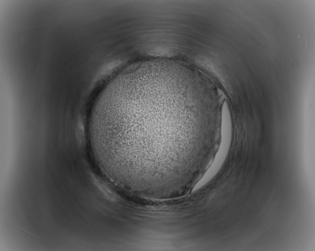 X0000088130688200705211116