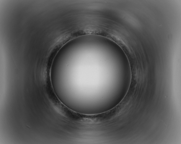 X0000088130690200705211116