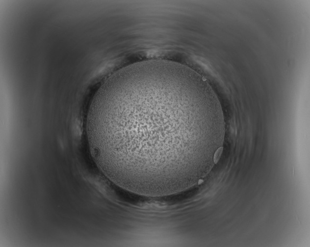 X0000088130691200705211116