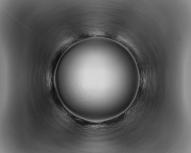 X0000088130692200705211116