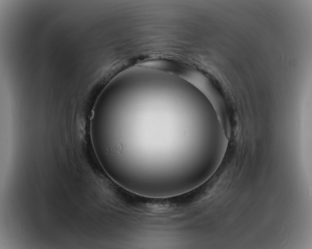 X0000088130693200705211116