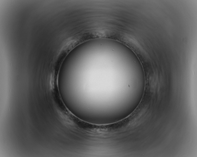 X0000088130694200705211116