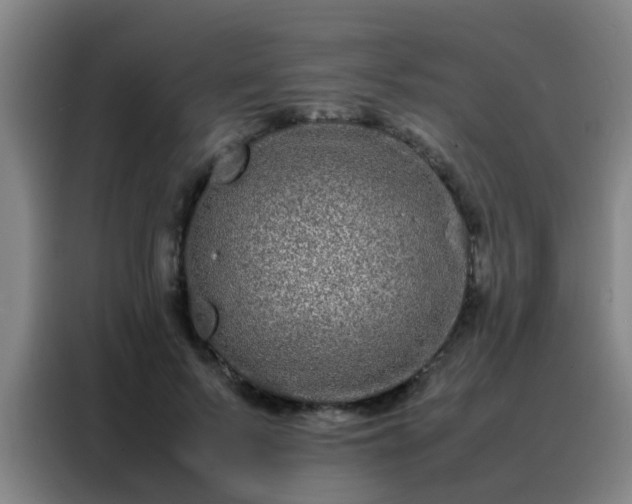 X0000088130695200705211116