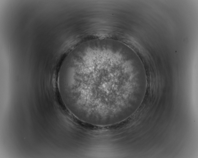 X0000088130696200705211116